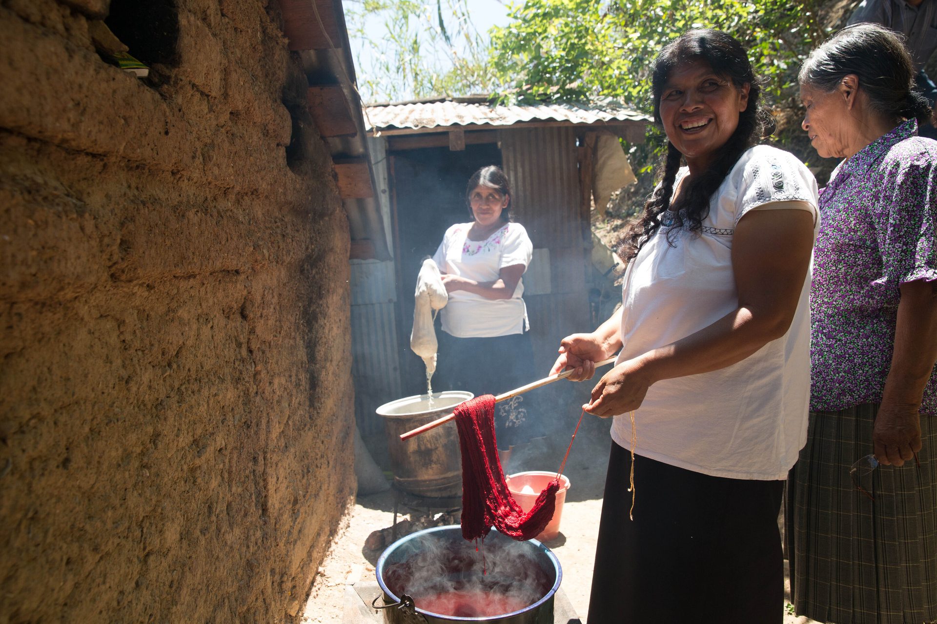Cookware and bakeware, Food, Shorts, Smile, Tree