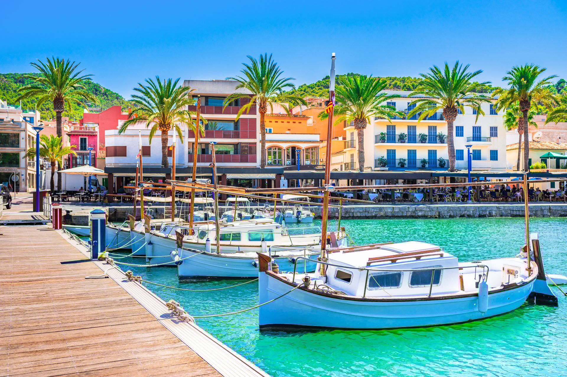 Body of water, Sky, Boat, Daytime, Watercraft, Azure, Tree, Arecales, Vehicle