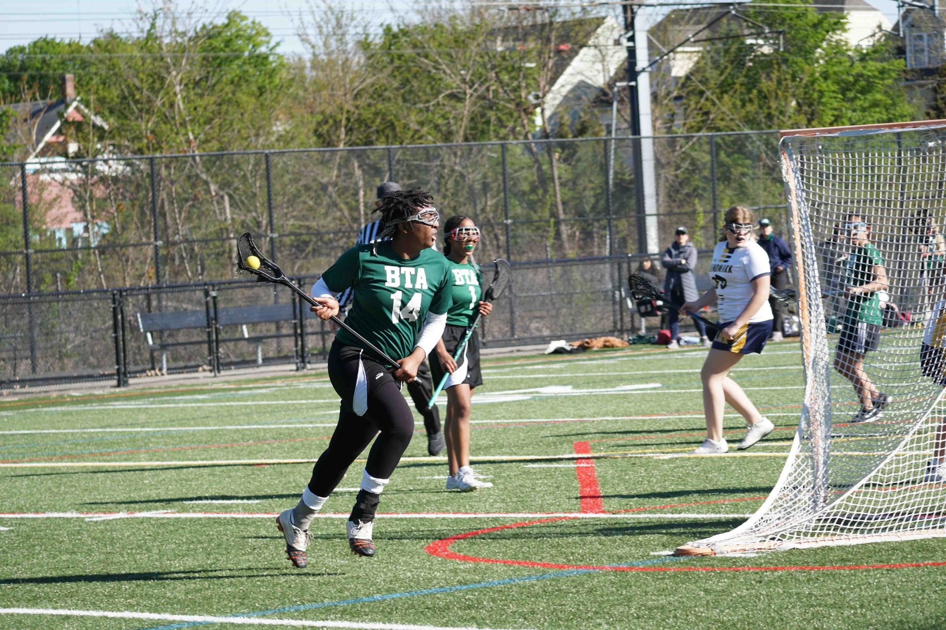 Stick and Ball Sports, Lacrosse glove, Helmet, Player, Tree