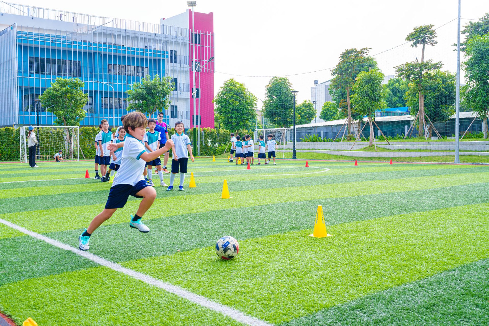 Sports equipment, Shorts, Plant, Football, Sky, Soccer, Tree, Player, Ball, Grass