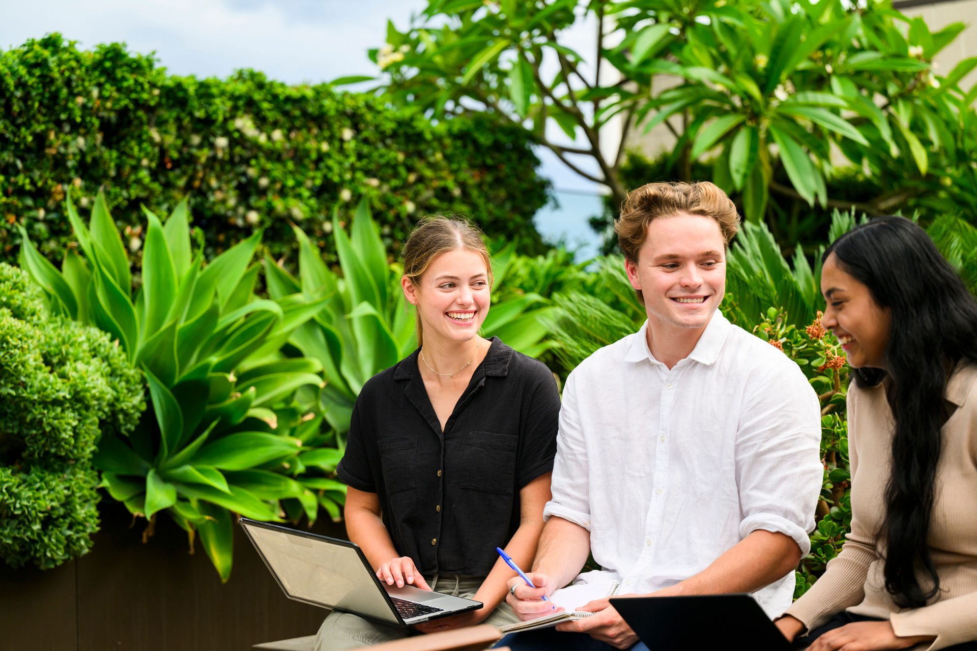 Smile, Property, Plant, Leaf, Botany, Green, Sky, Laptop, Leisure, Computer