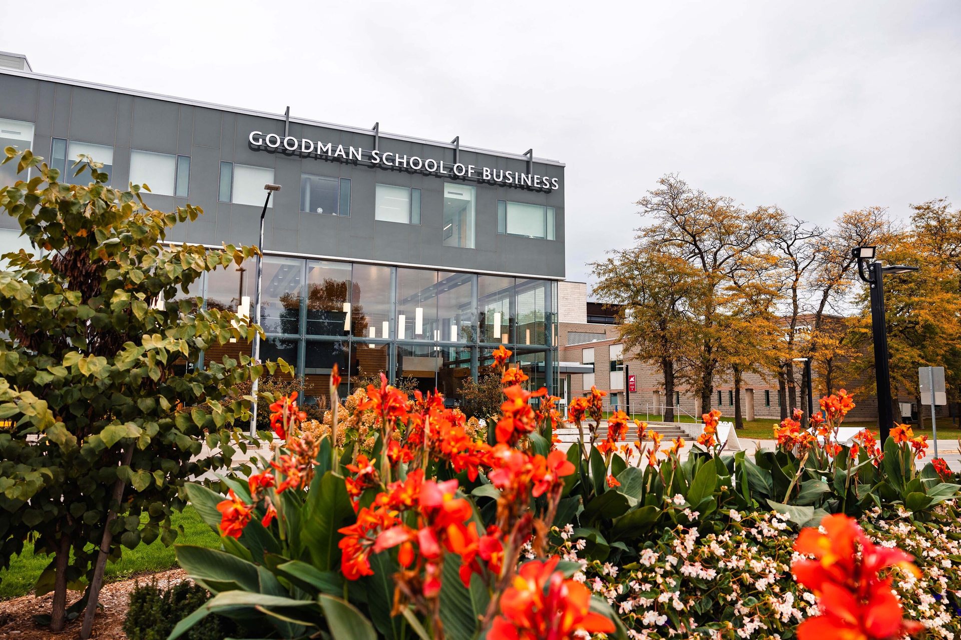 Goodman School of Business building behind red flowers and autumn trees.