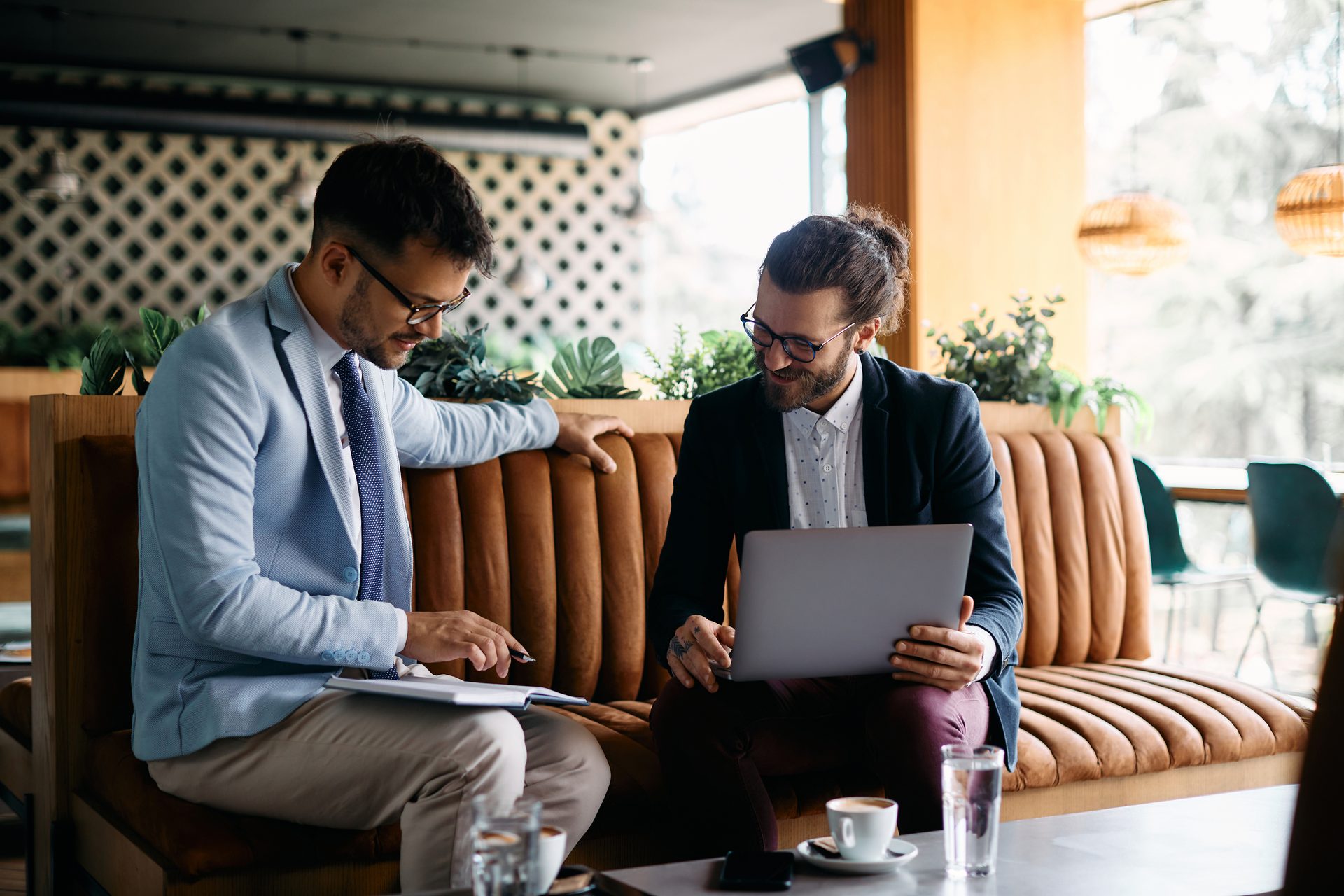 Interior design, Plant, Comfort, Houseplant, Tie
