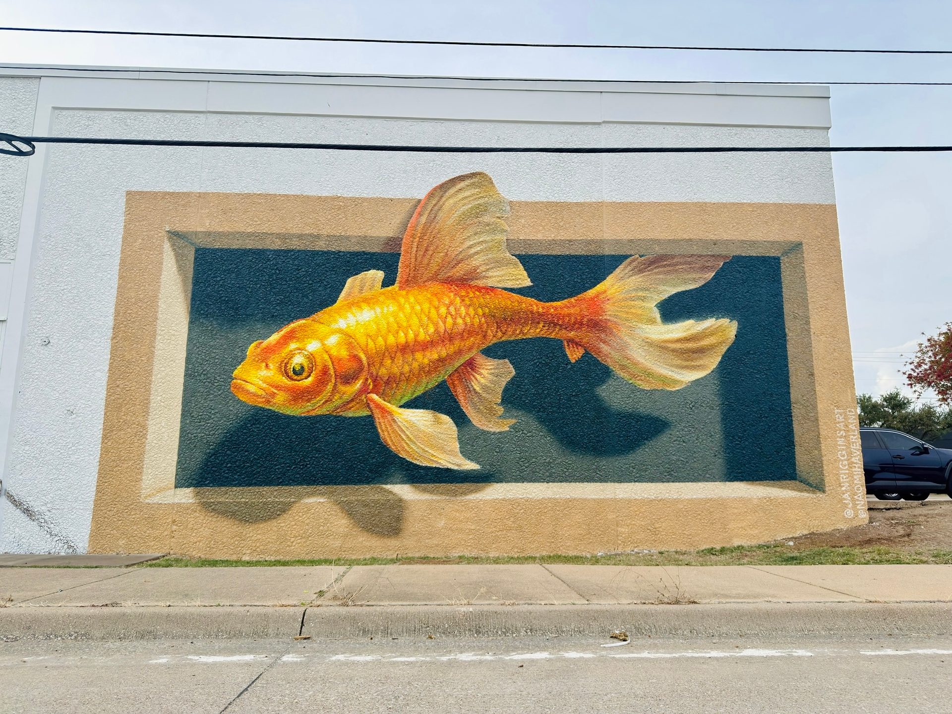 Vibrant 3D goldfish mural on a building wall, appearing to pop out of a frame.