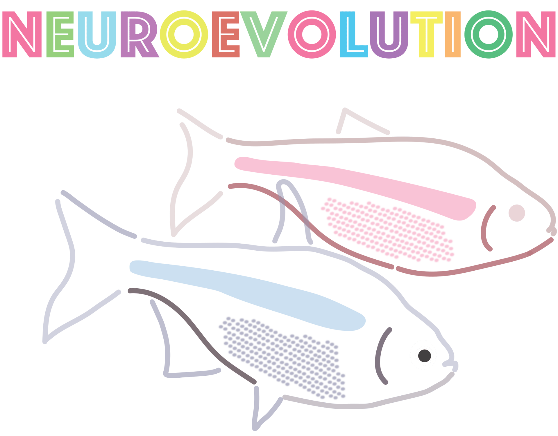 Vertebrate, Fin, Organism, Mammal, Font, Fish, Line