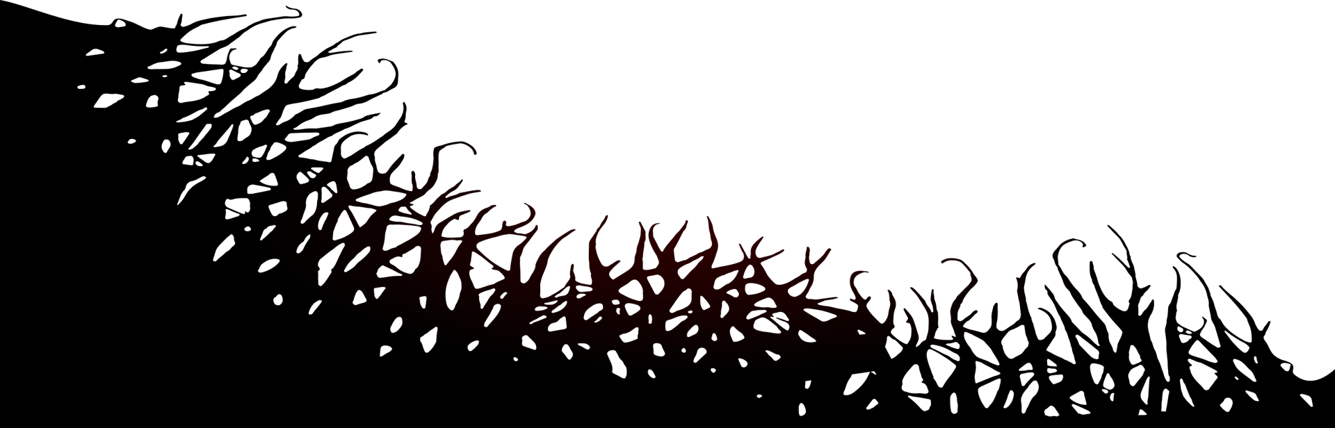 Terrestrial plant, Sky, Font