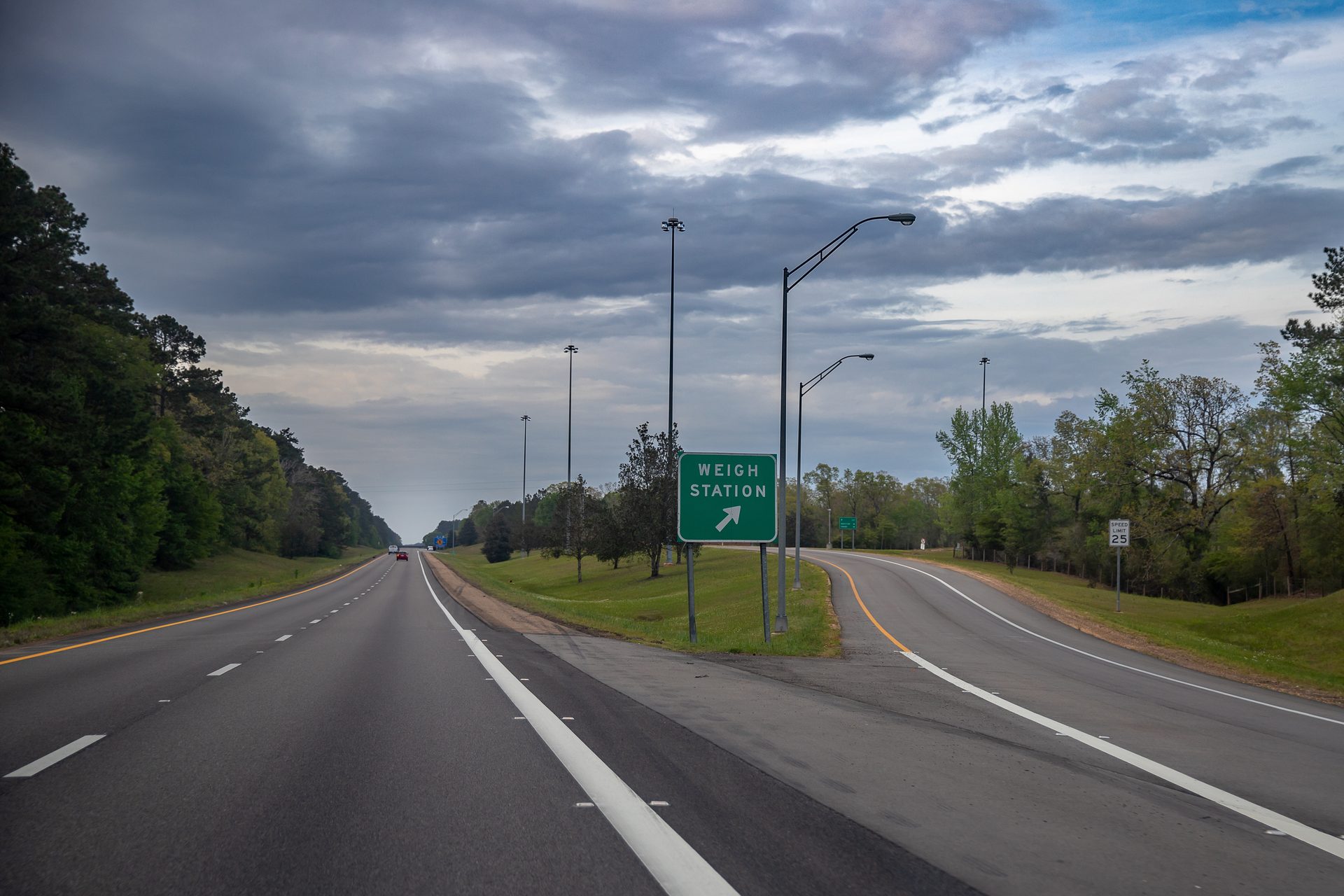Street light, Natural landscape, Road surface, Cloud, Sky, Plant, Infrastructure, Tree, Asphalt, Tar