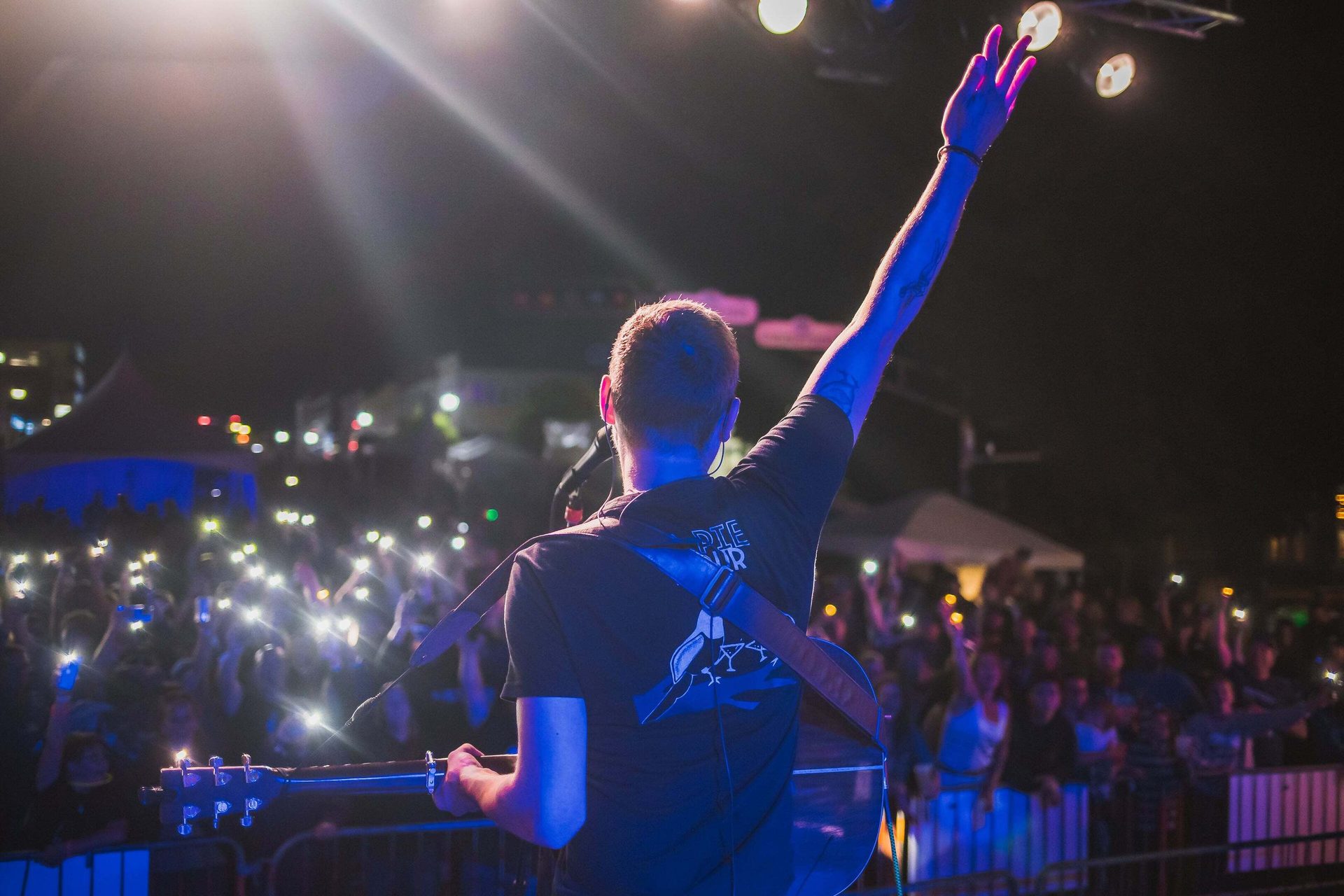 Performing arts, Music artist, Plant, Musician, Purple, Entertainment, Concert, Tree