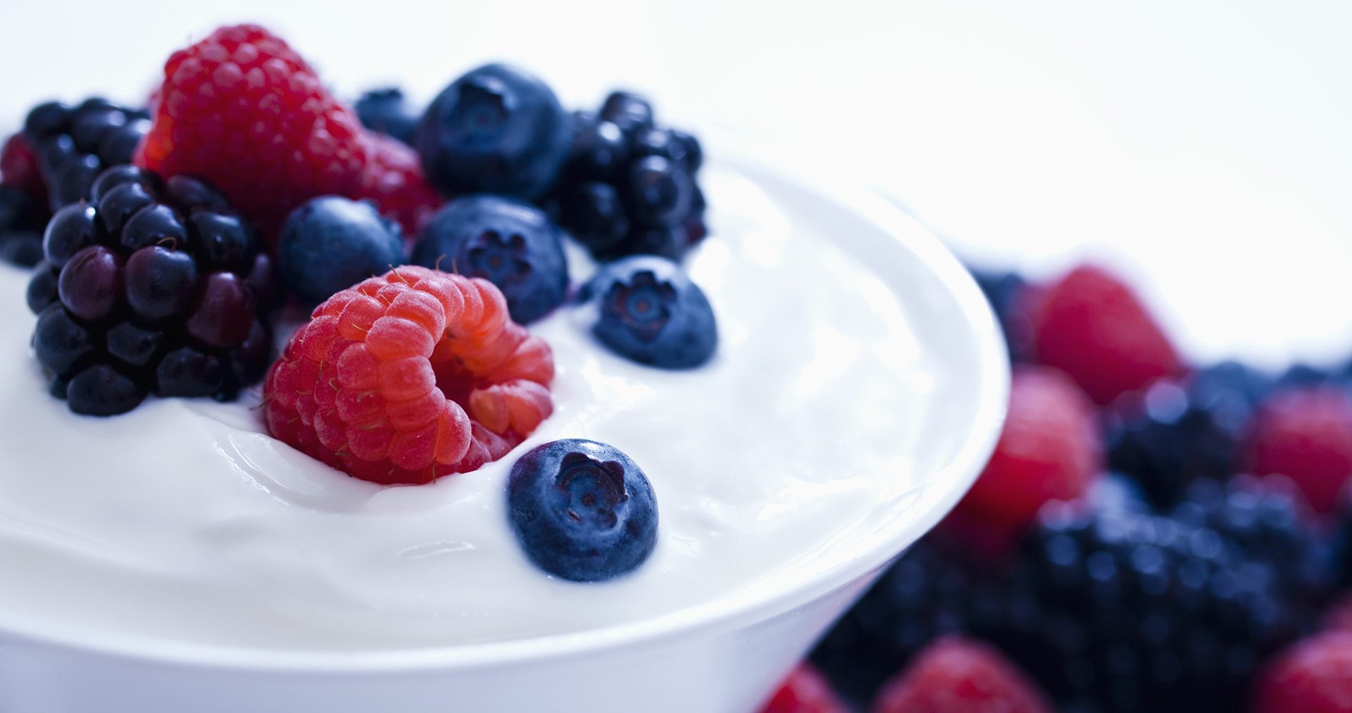 Yogurt Nutri Leads BV