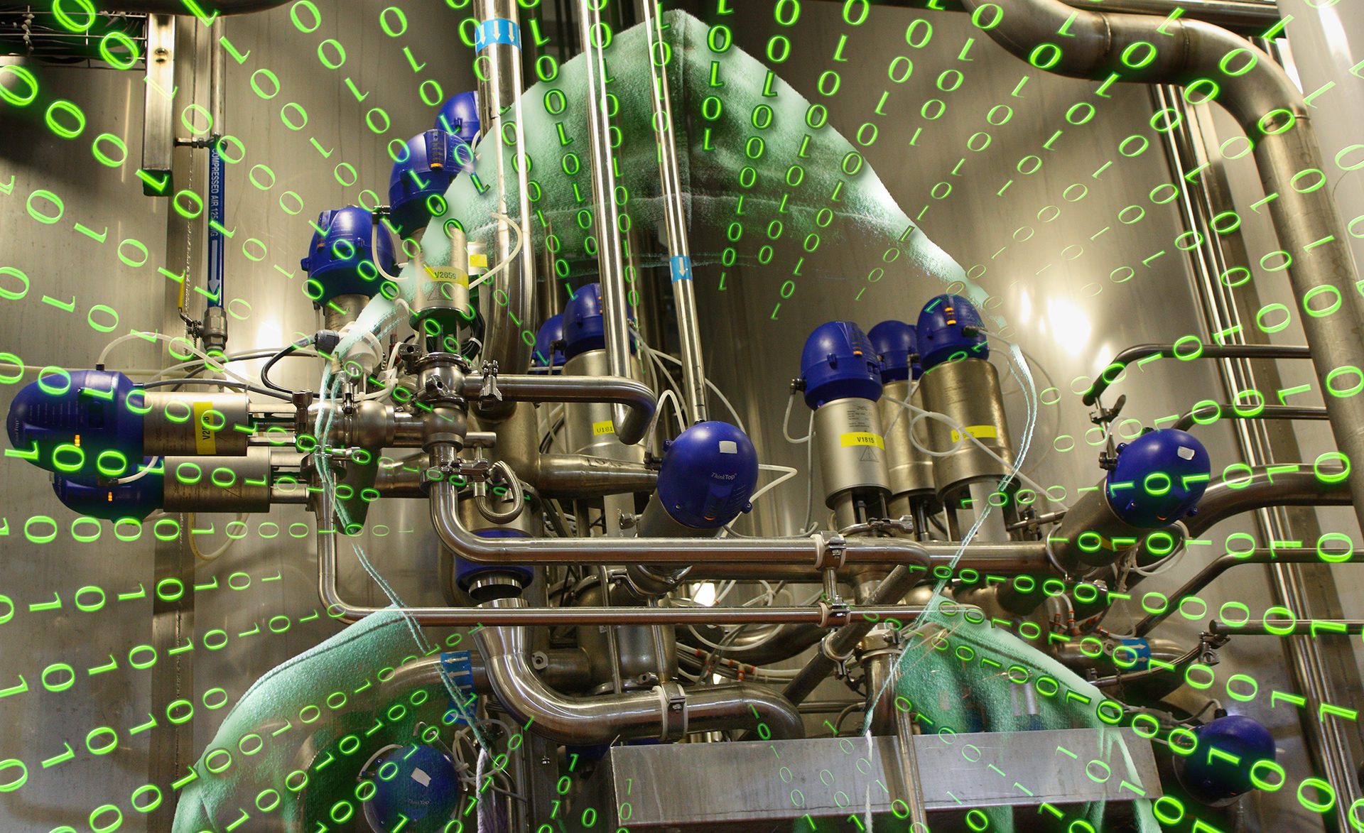 Lighting, Organism, Electricity