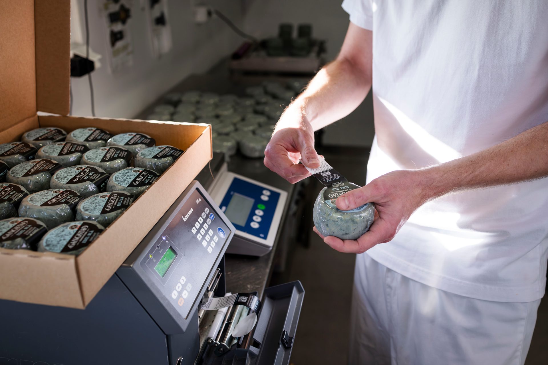 Automotive design, Kitchen appliance