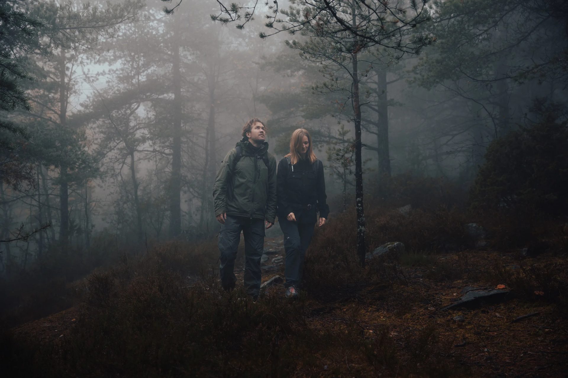 People in nature, Natural environment, Atmospheric phenomenon, Plant, Atmosphere, Fog, Cloud, Wood, Tree