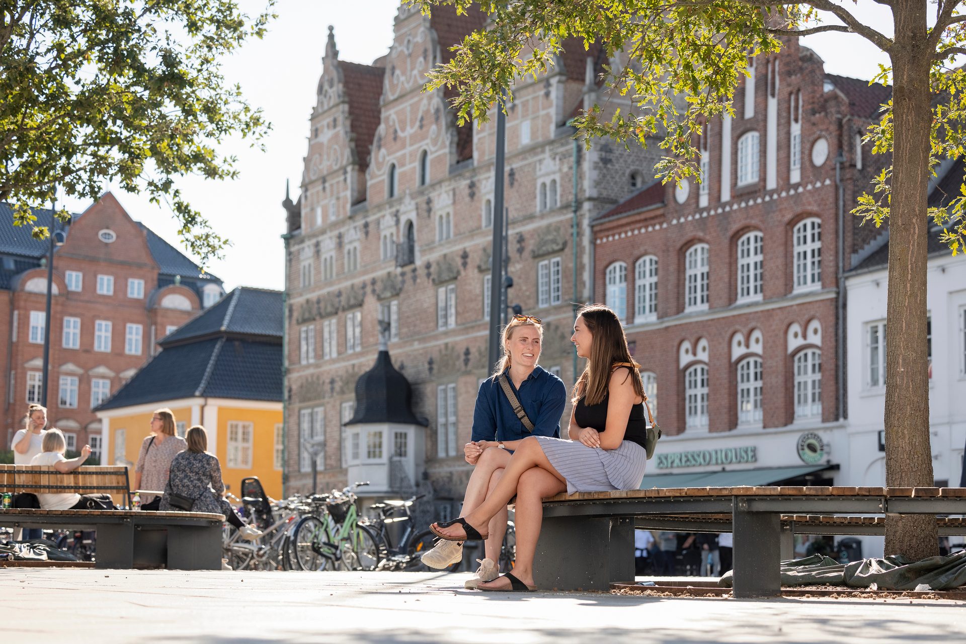 Public space, Daytime, Window, Building, Architecture, Plant, Tree, Leisure, Travel, Neighbourhood