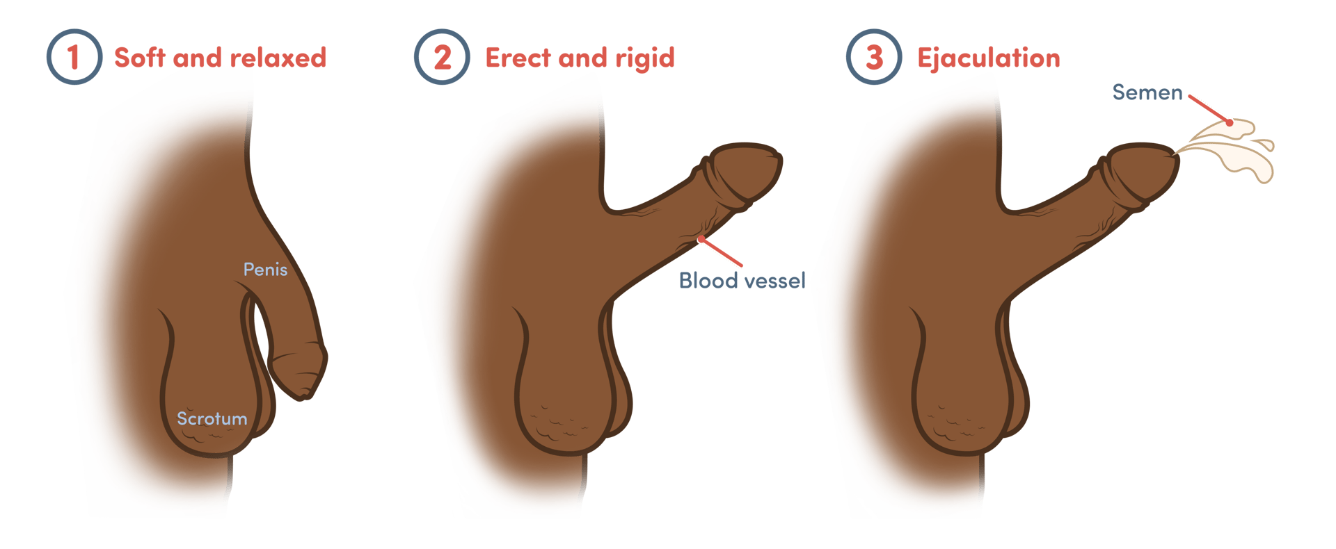 Gesture, Finger, Thumb, Font