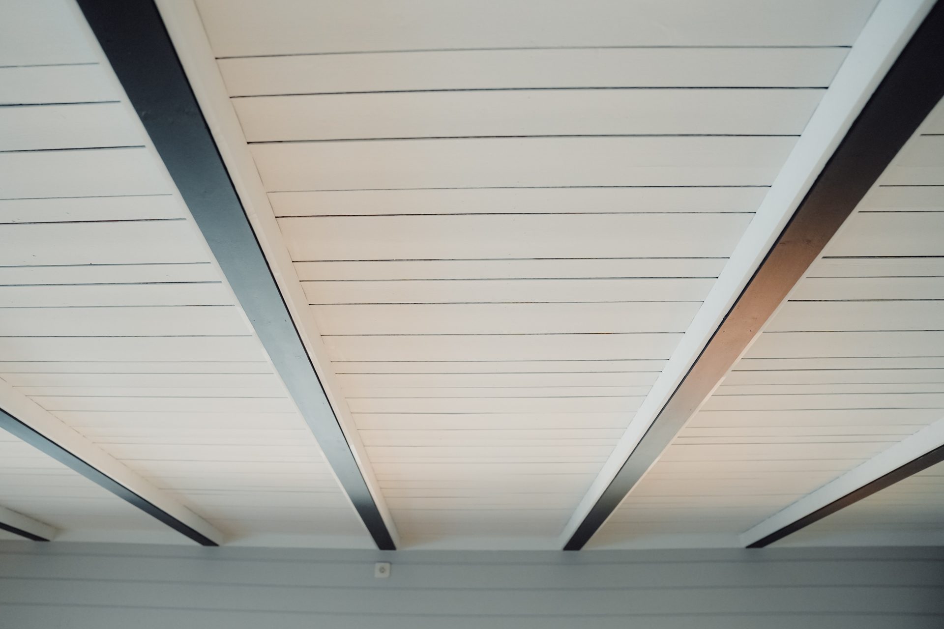 White wooden plank ceiling with dark exposed beams, creating a modern rustic interior design element.