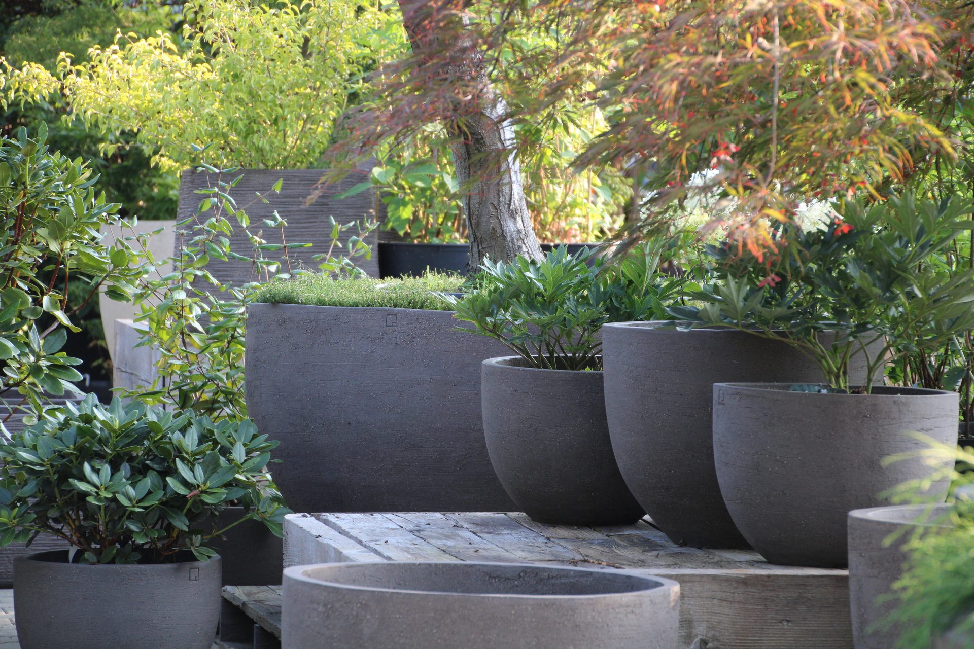 Dark grey, textured planters with various green plants and a small tree in a vibrant garden setting.