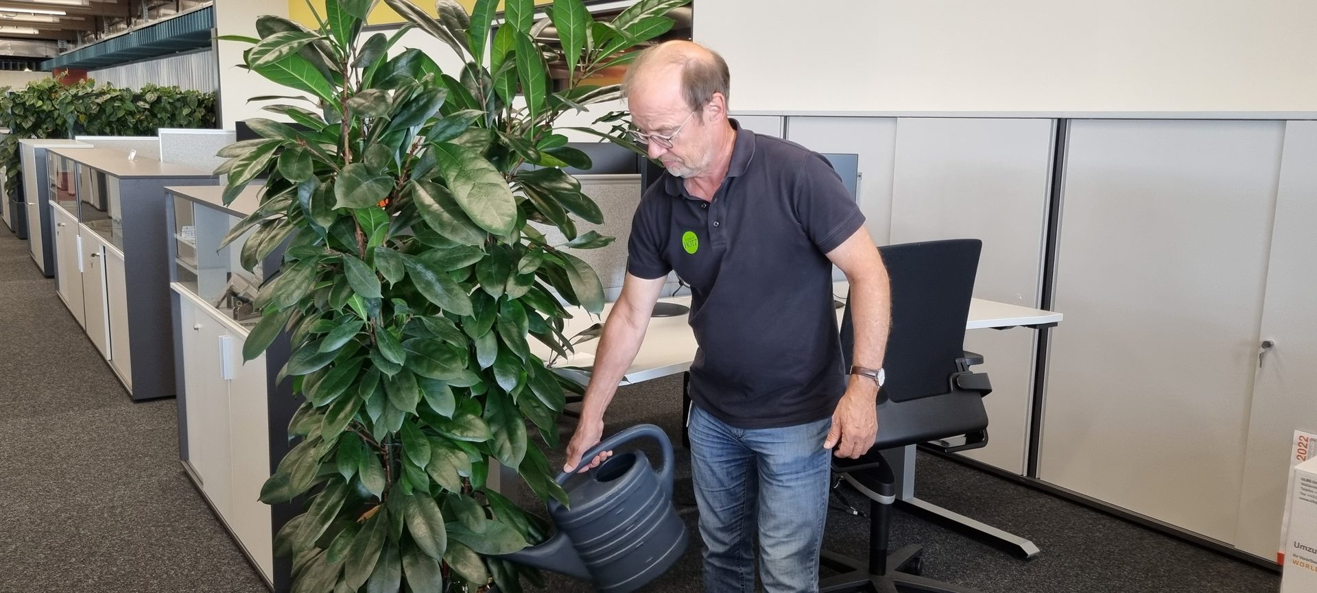 Terrestrial plant, Standing, Houseplant, Chair