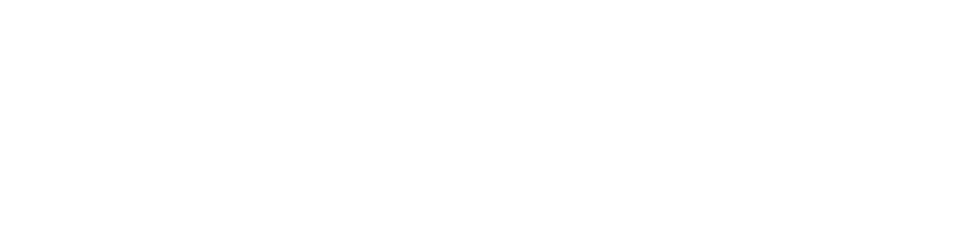 Wagner logo featuring white text 'wagner' in a classic serif font, framed by two elegant curved lines.