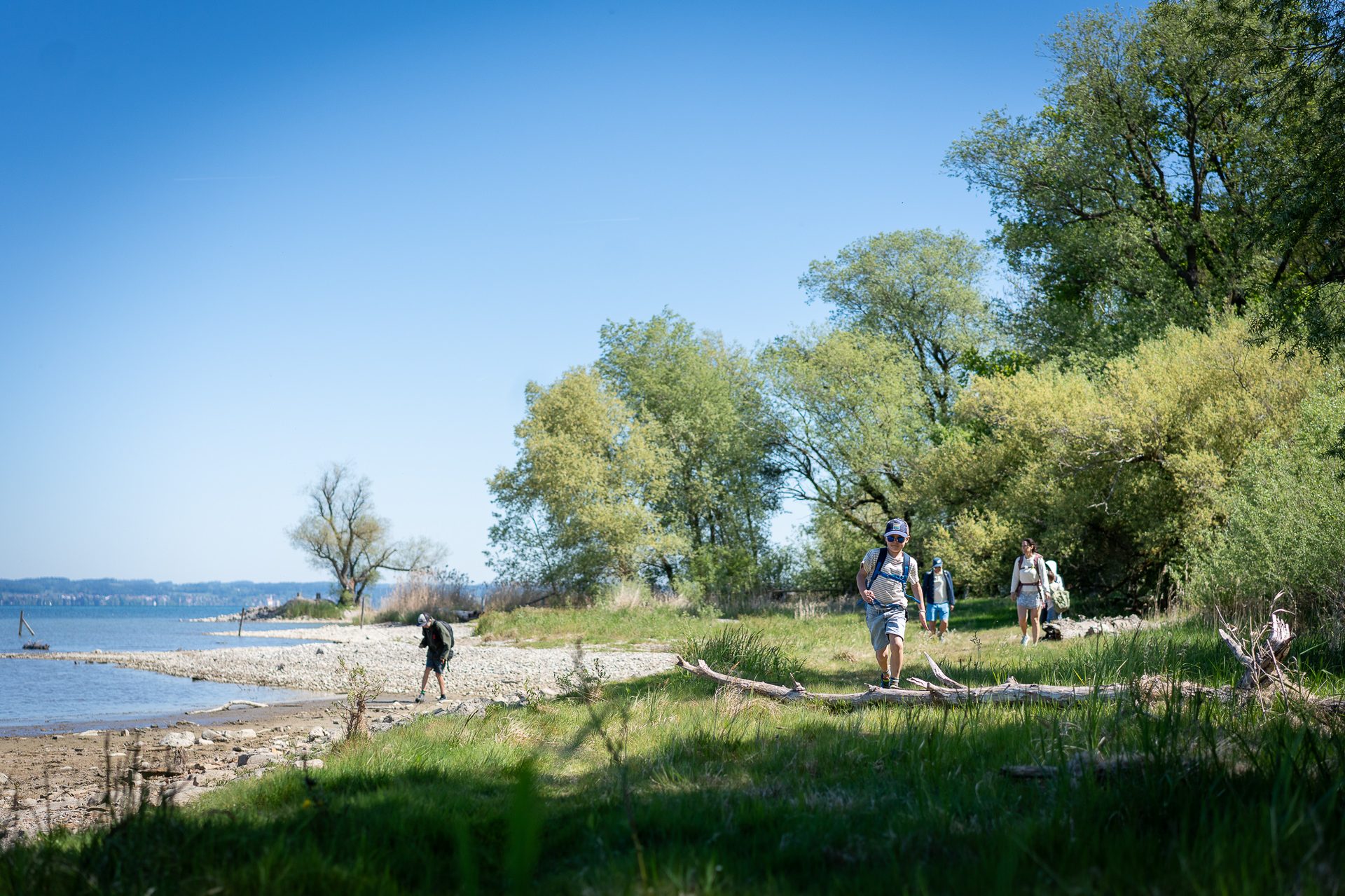 Hikers walk along a grassy path beside a lake with trees and a clear blue sky.