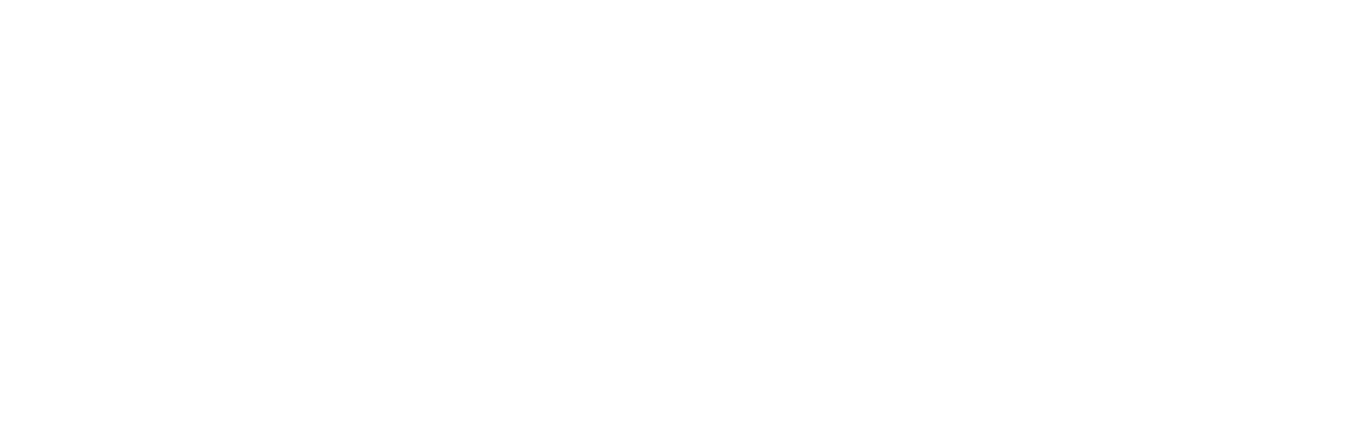 Liepert - Der Maler von Bludenz logo in white text on a green background.