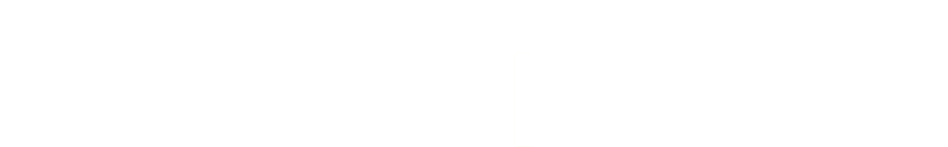 The words 'FLEISCH, LOSER' in bold white uppercase text on a dark green background.
