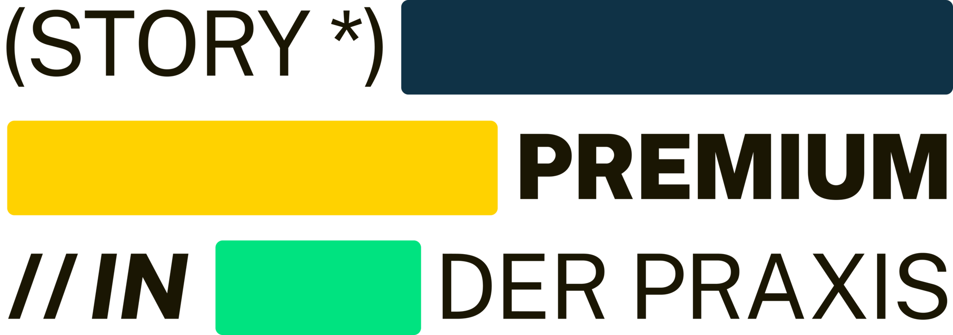 Text reading '(STORY *) PREMIUM //IN DER PRAXIS' with colored background rectangles.