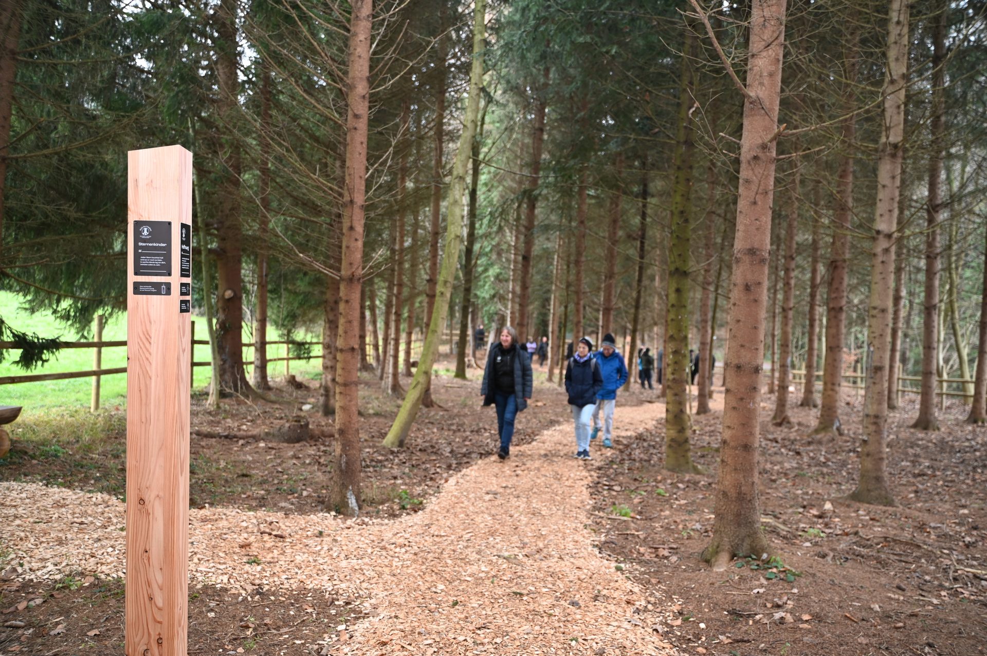 People walk on a wood chip path through a pine forest, past a wooden post with signs.