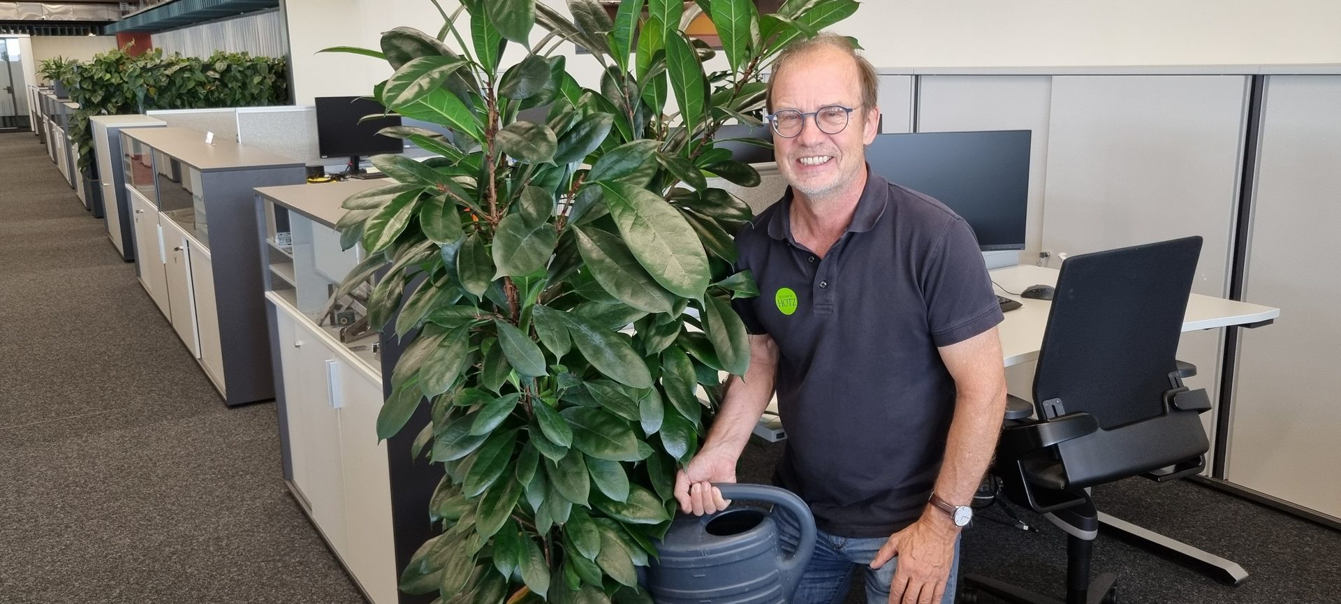 Terrestrial plant, Smile, Watch, Houseplant, Flowerpot