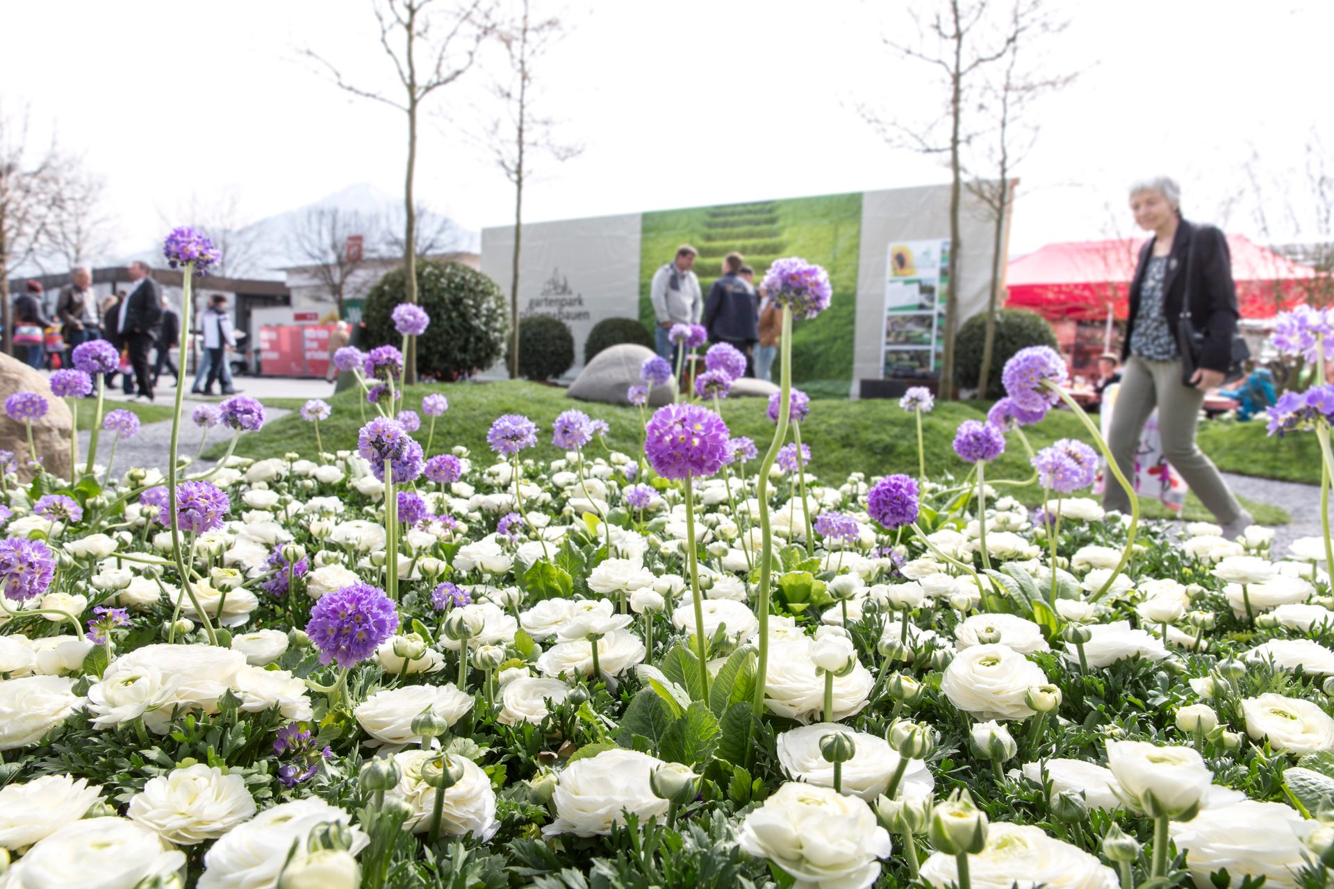 A vibrant garden park scene with a field of white and purple flowers in the foreground and people in the background.