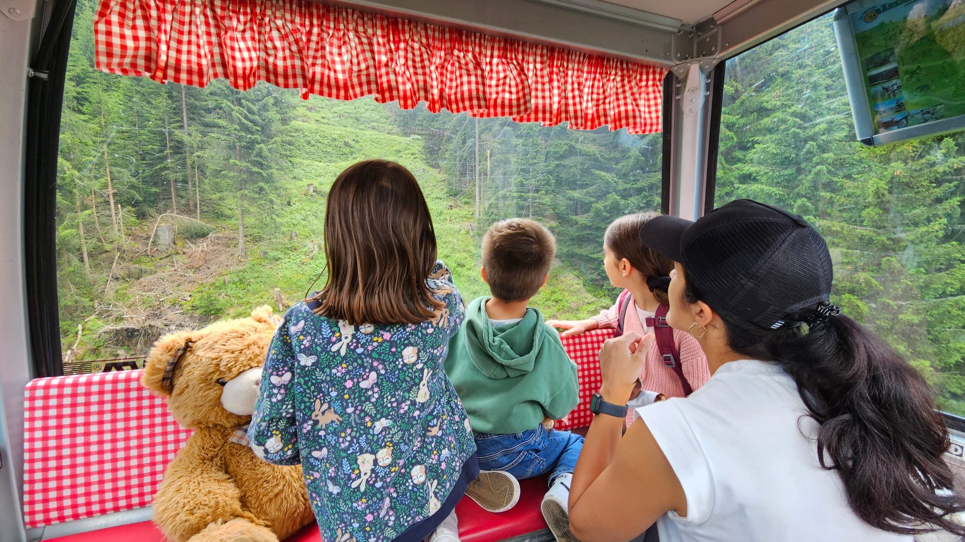 Family and teddy bear in a cable car enjoying a forest view.