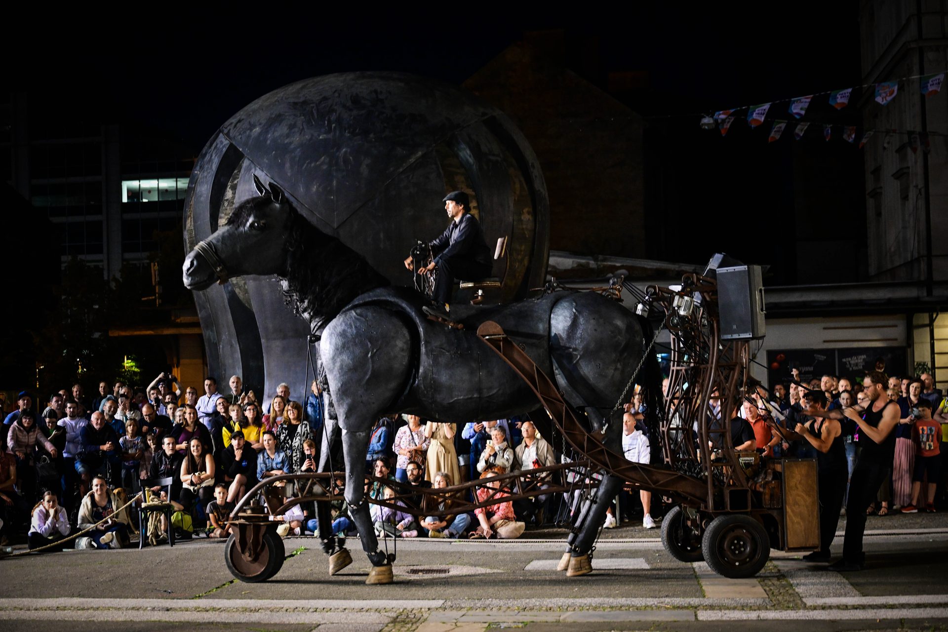 Working animal, Horse tack, Wheel, Tire, Bridle, Headgear