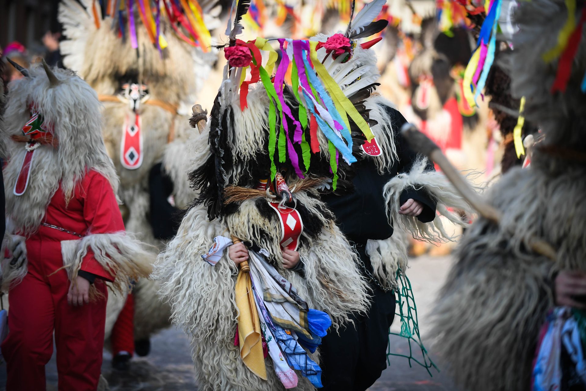 Vertebrate, Mammal, Entertainment, Hat