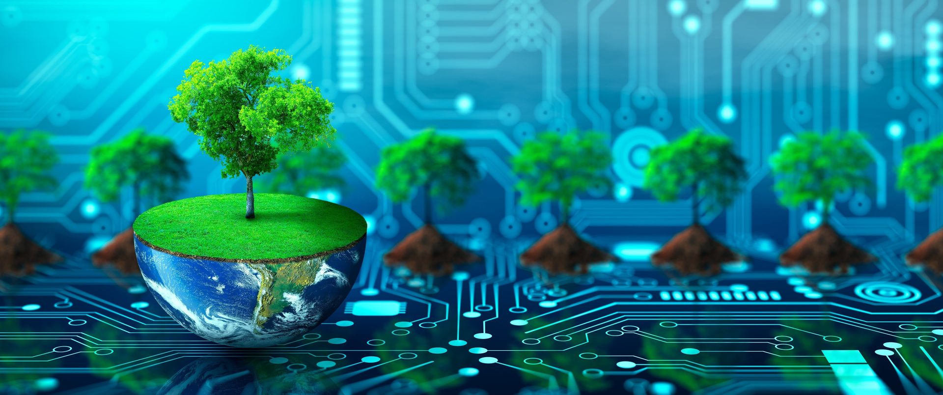Plant, Green, Blue, Nature, Azure, World, Organism, Tree, Grass, Aqua