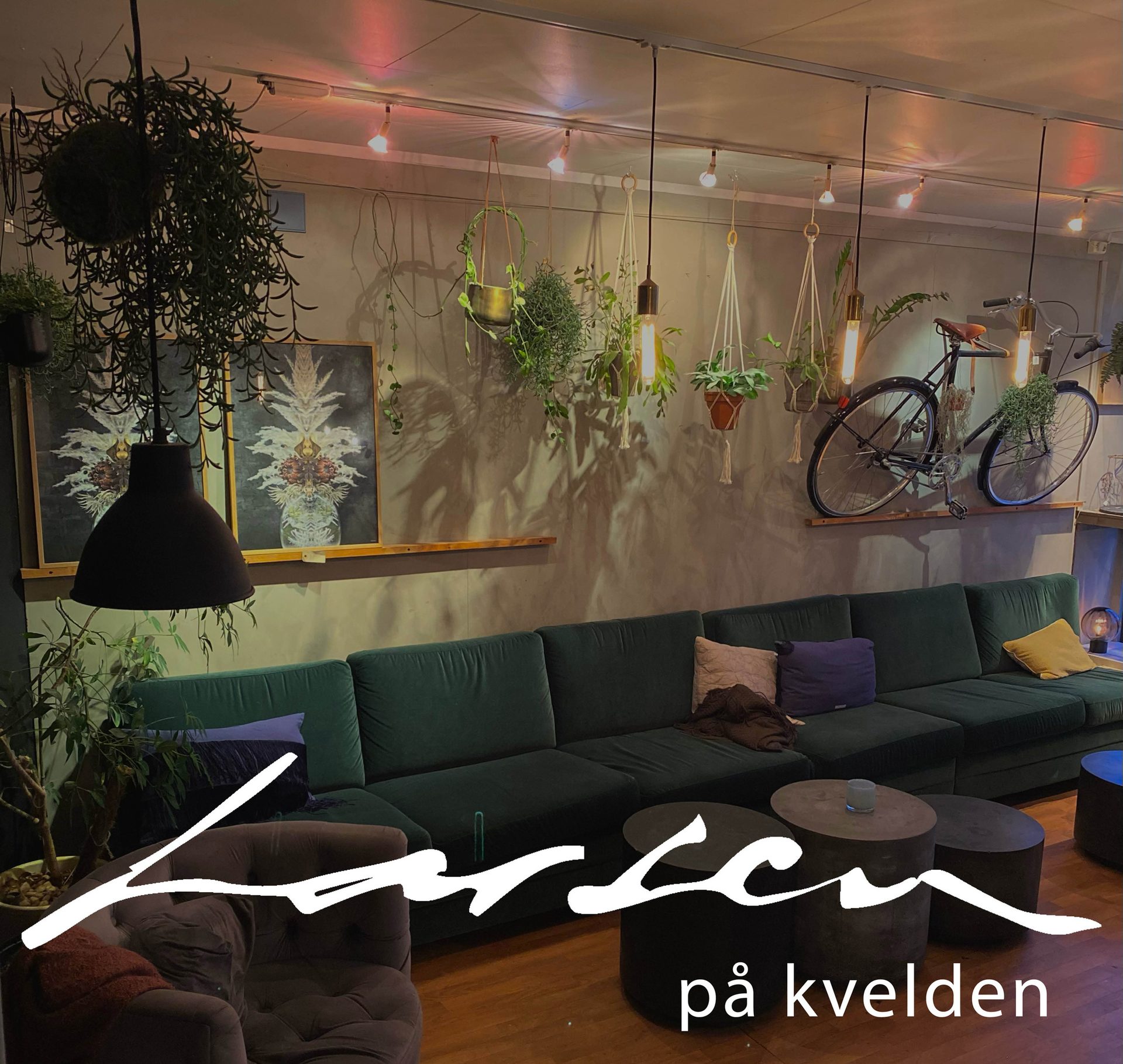 Interior design, Light fixture, Flowerpot