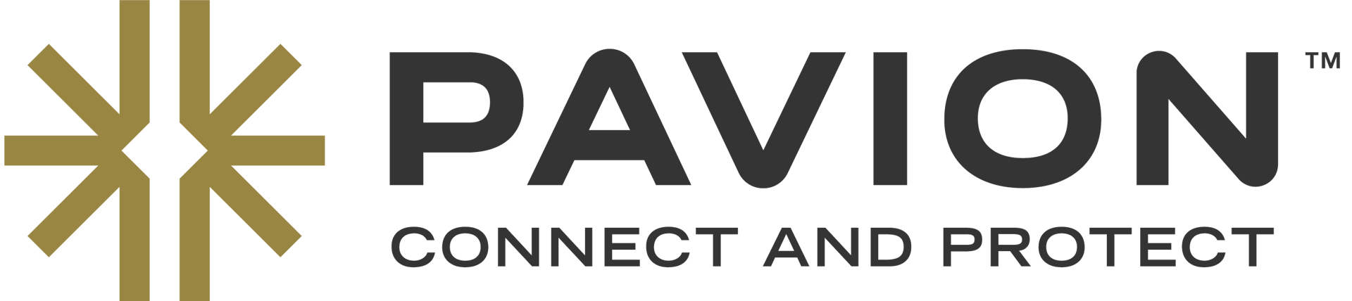 Pavion logo
