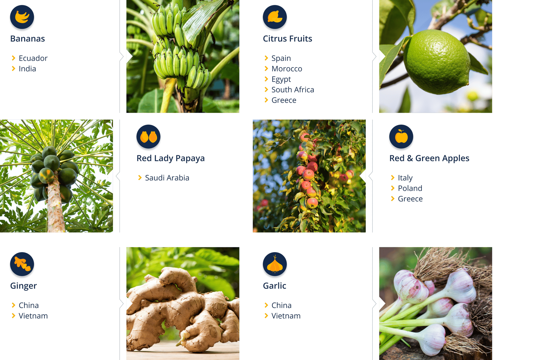 Natural foods, Terrestrial plant, Green, Botany, Organism, Vegetation