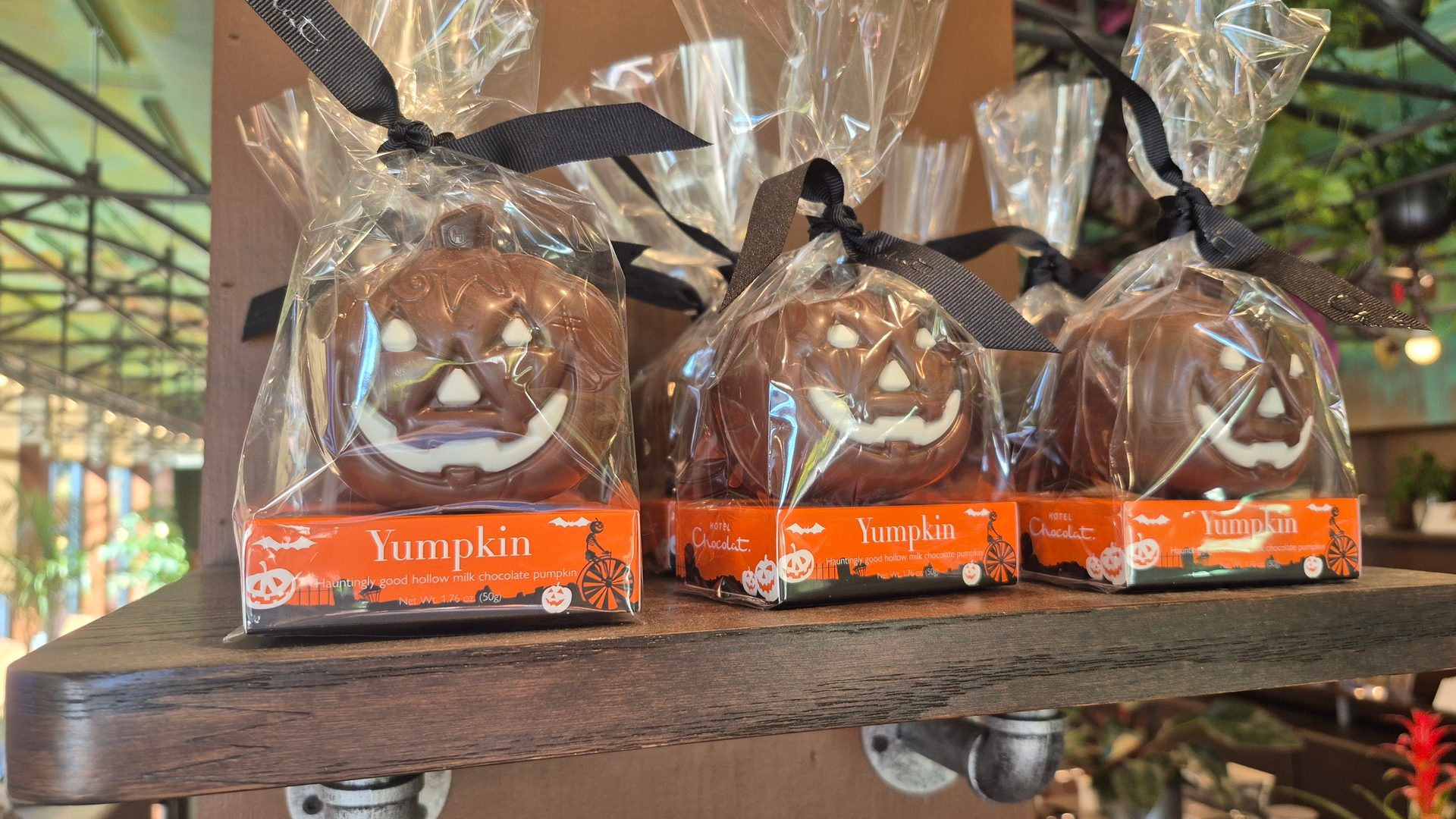 Row of individually wrapped Halloween chocolate pumpkins (Hotel Chocolat Yumpkin) on a shelf.