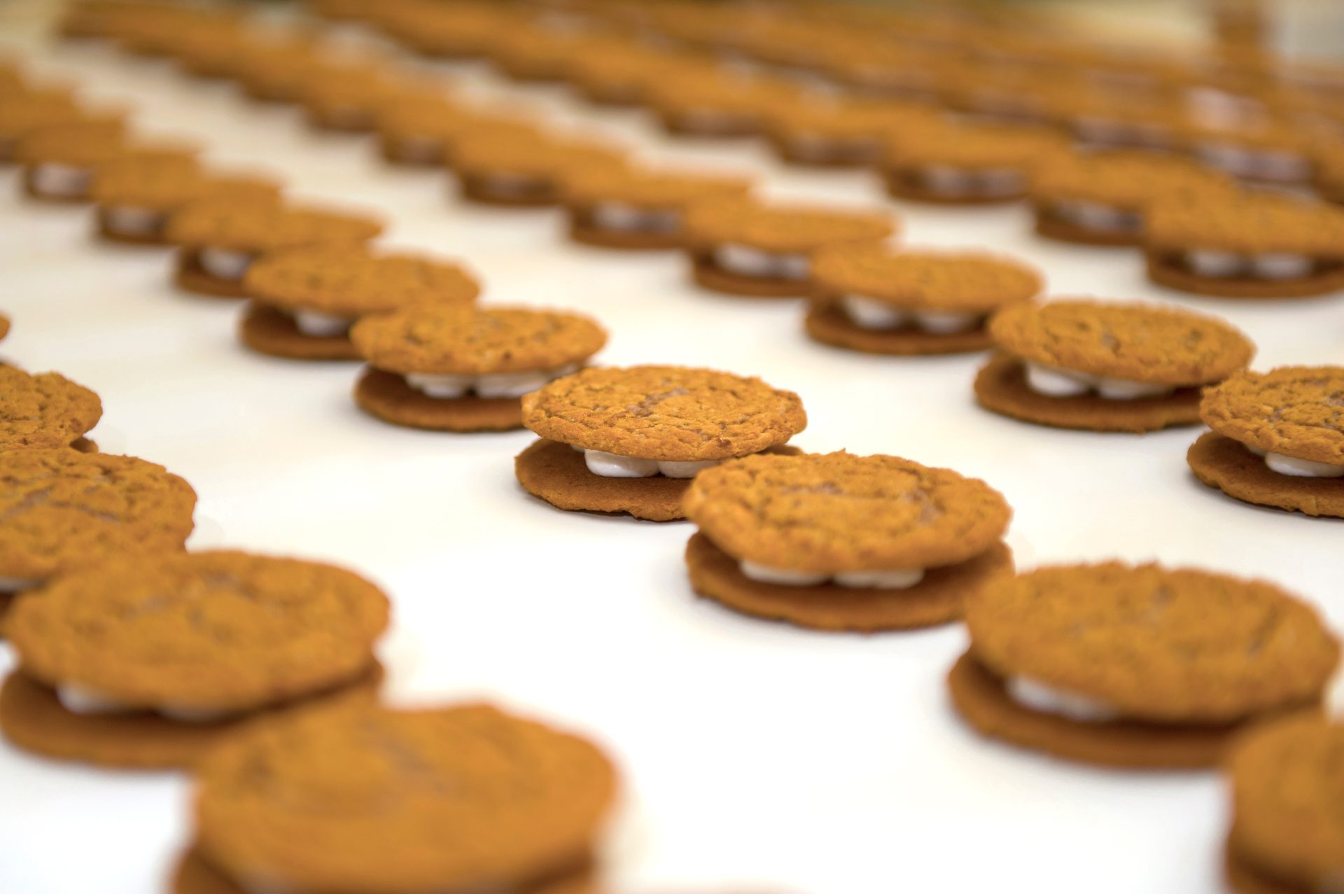 Cookies and Crackers, Finger food, Ingredient, Baking, Biscuit, Dessert, Cookie, Recipe, Cooking