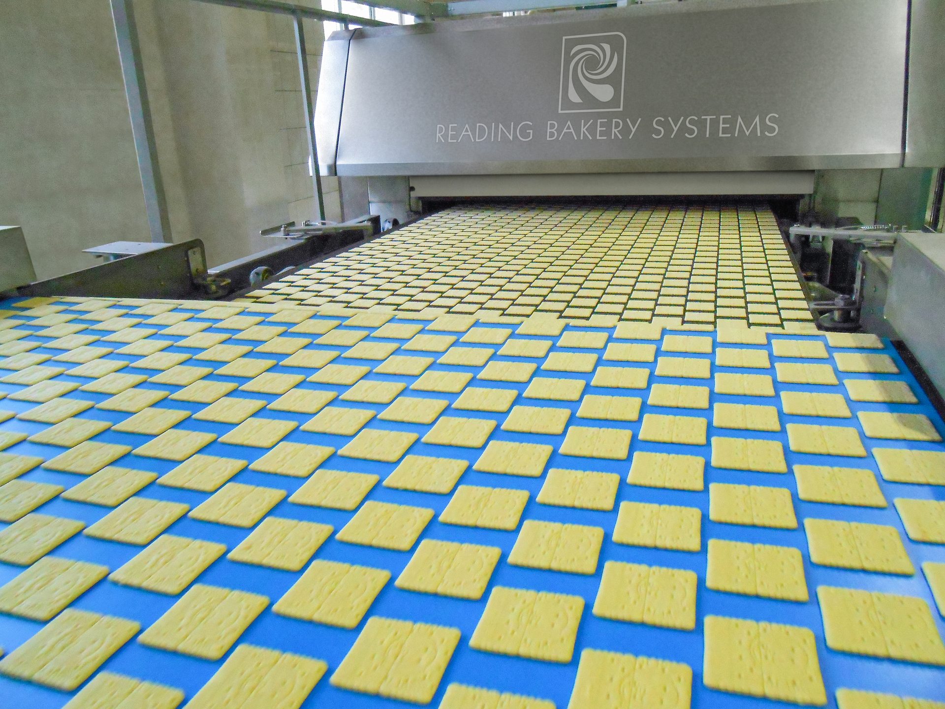 Yellow crackers on a blue conveyor belt entering a Reading Bakery Systems machine.