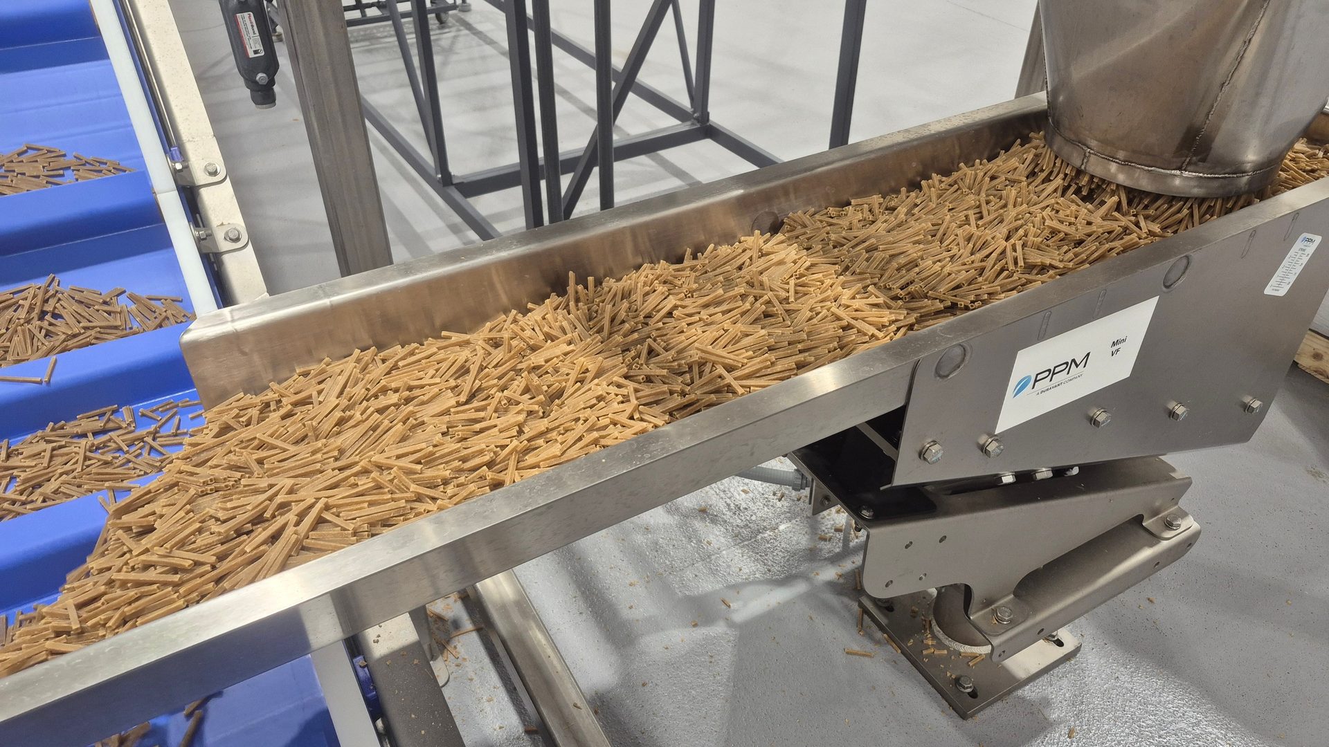 Short, tubular food items are processed on a stainless steel industrial conveyor, transferring to a blue belt.