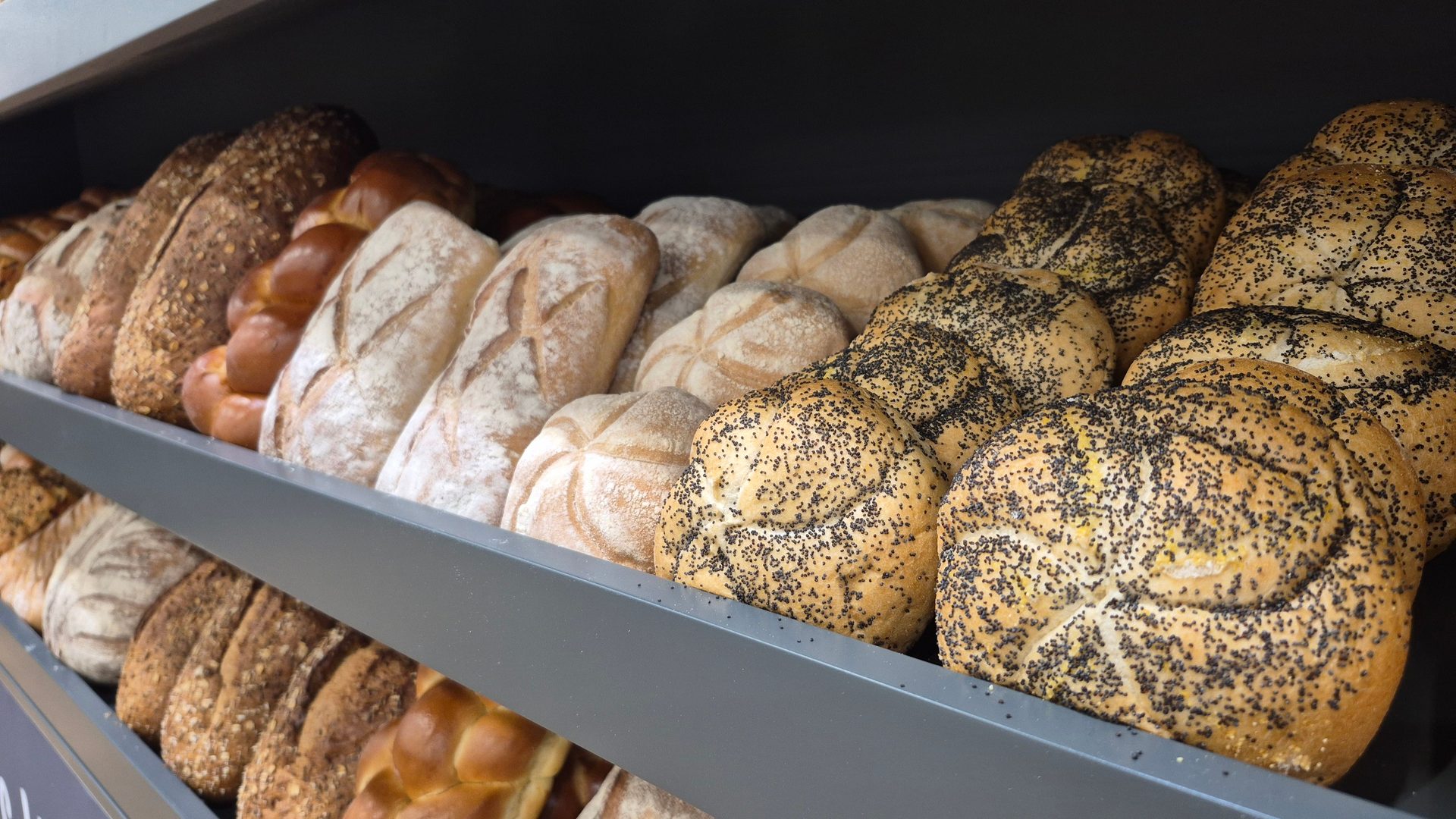 Assorted fresh breads and rolls, including whole grain, flour-dusted, and poppy seed, on a shelf.