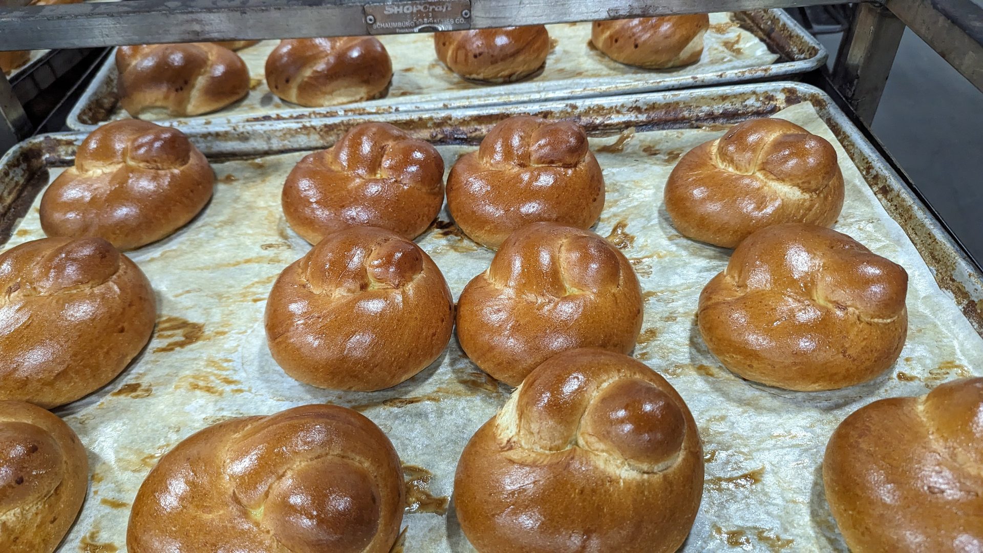 Buns, Rolls, Baked goods, Bakery production line