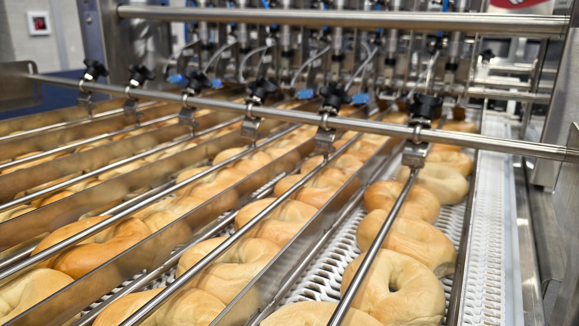 Bagels moving on a conveyor belt under industrial machinery.