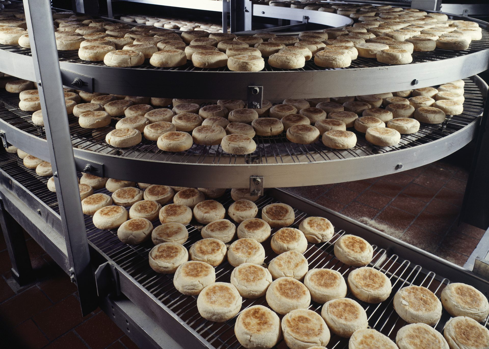 English muffins, Processing plant interior, Machinery, Belt, Conveyor