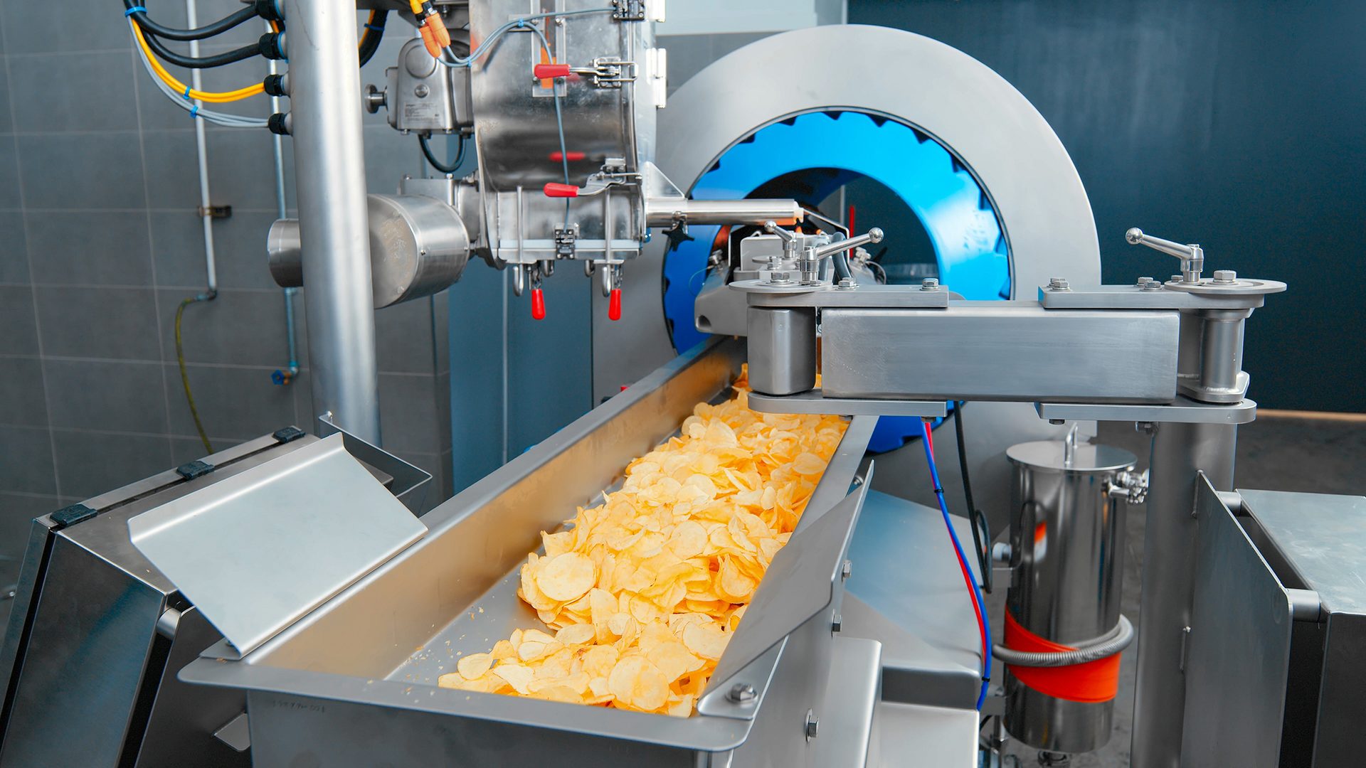 Potato chips on a conveyor belt in a factory, fed by a food processing machine.