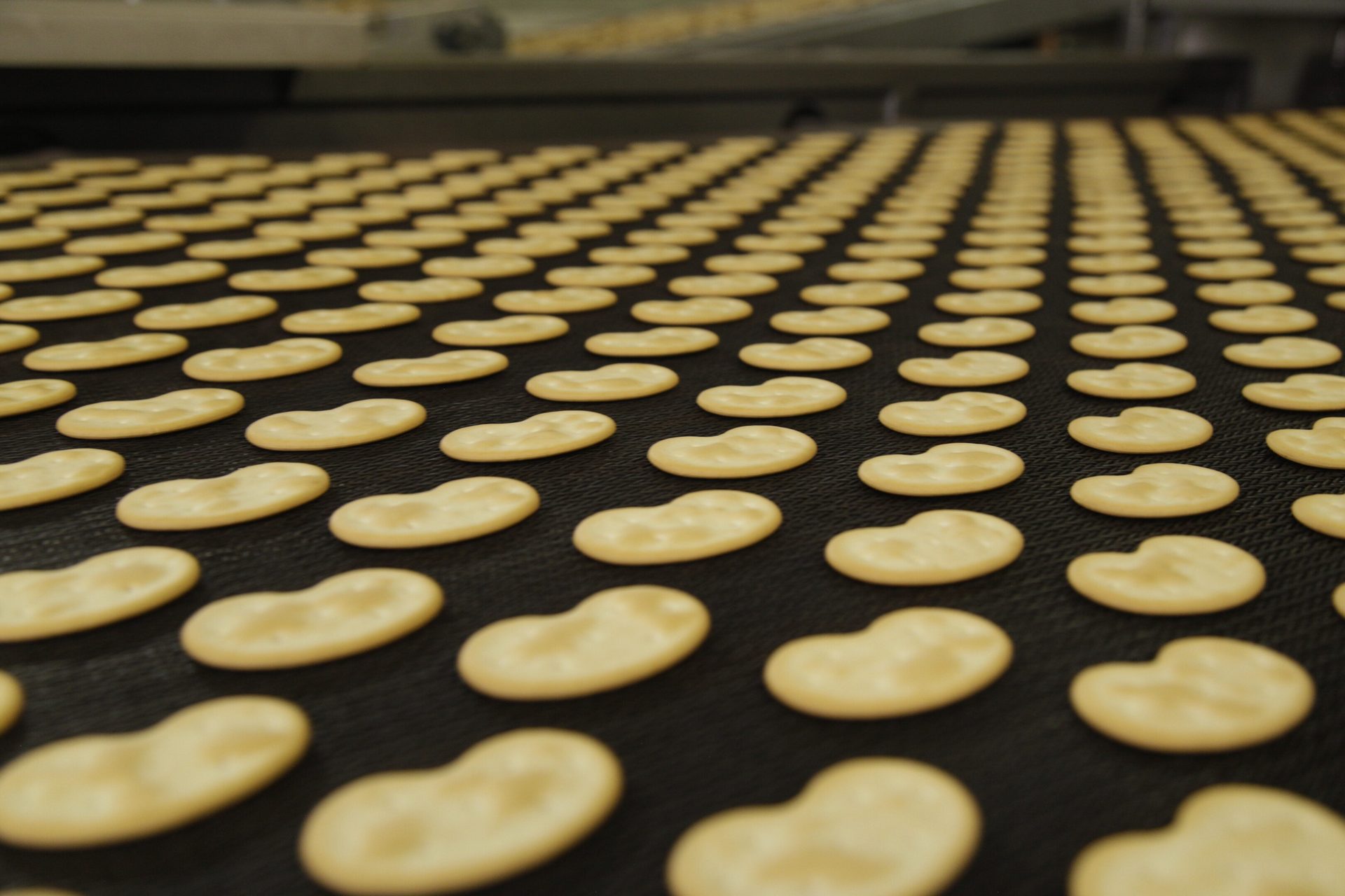 Rows of bean-shaped crackers on a dark conveyor belt.