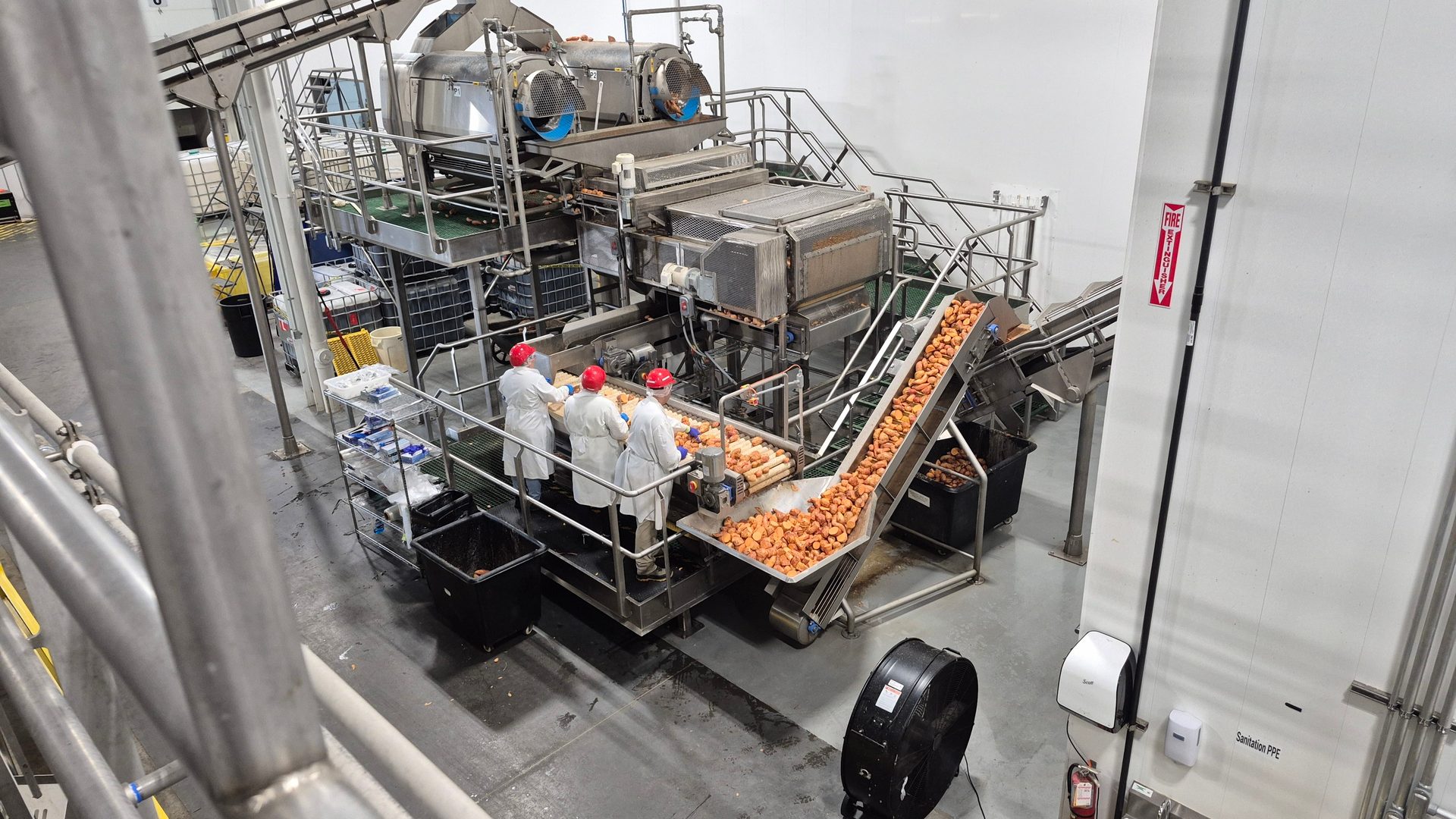Workers in protective gear operate machinery, sorting potatoes or similar produce on conveyors in a food processing plant.