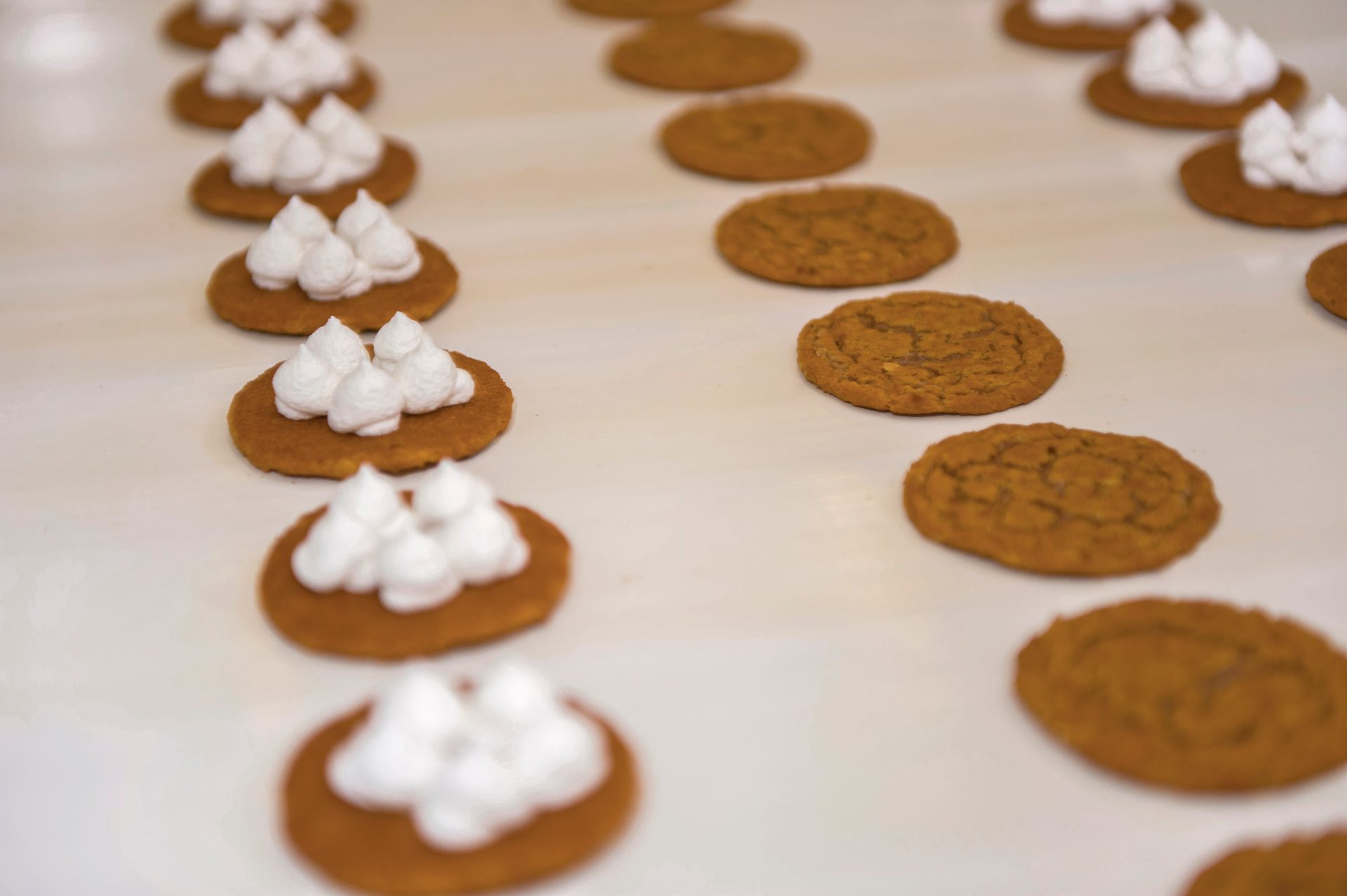 Cookies and Crackers, Finger food, Ingredient, Baking, Dessert, Cooking, Biscuit, Recipe, Cookie