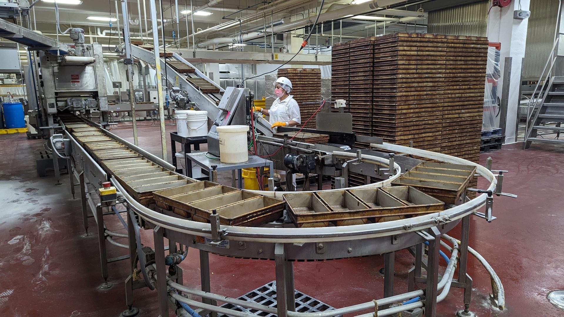 Bakery production line, worker