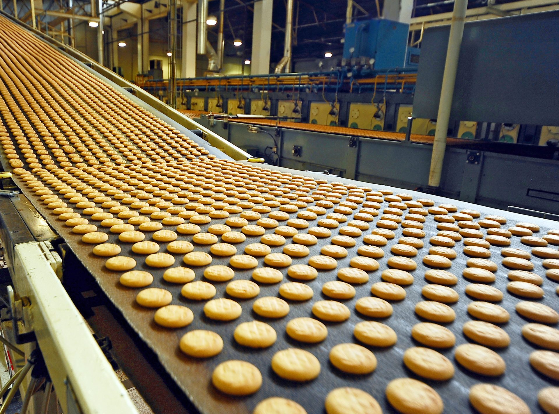 Mass production, Cookies, Processing facility